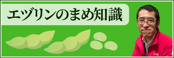 エヅリンの豆知識